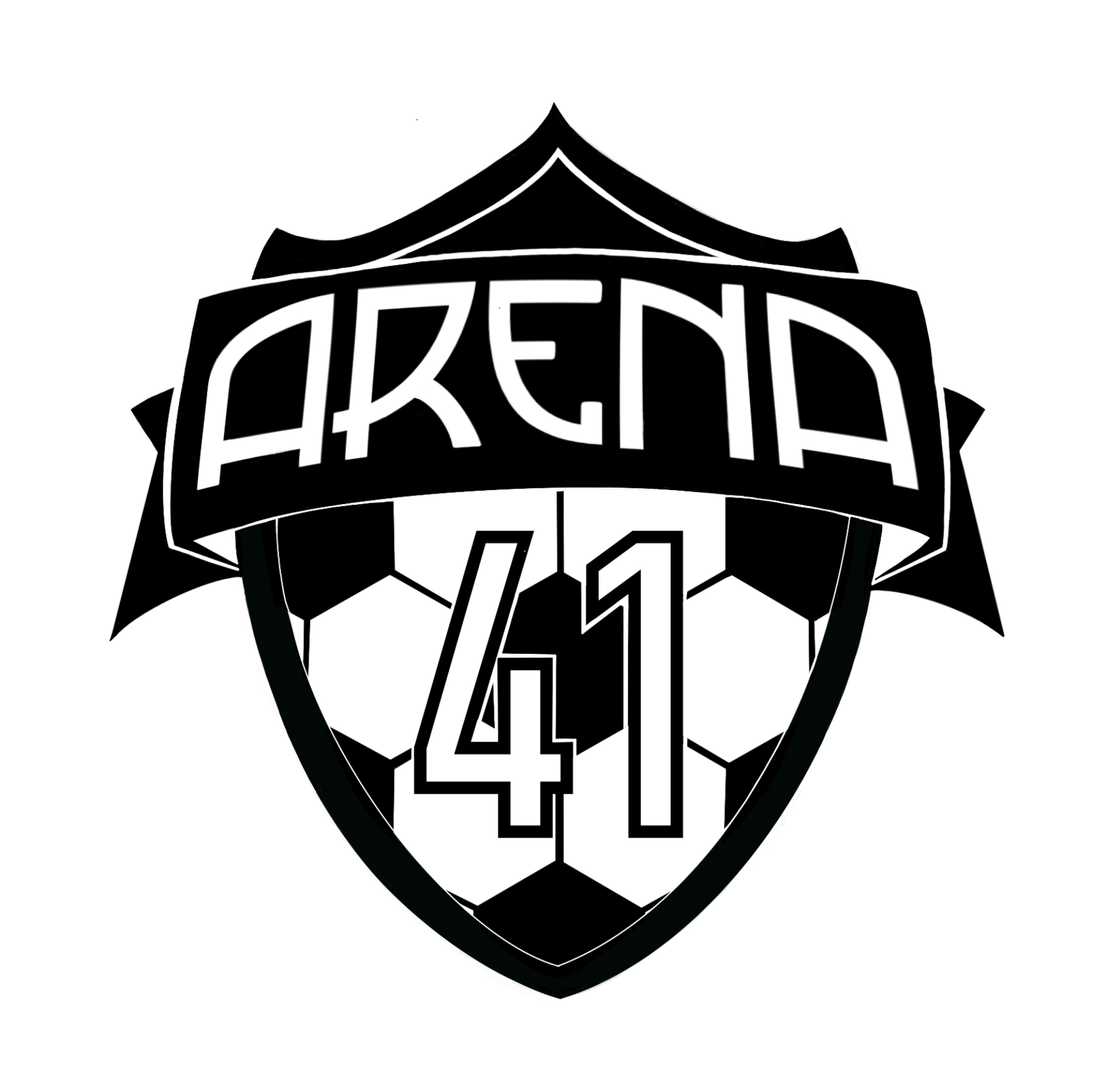 Arena 41 Sports logo